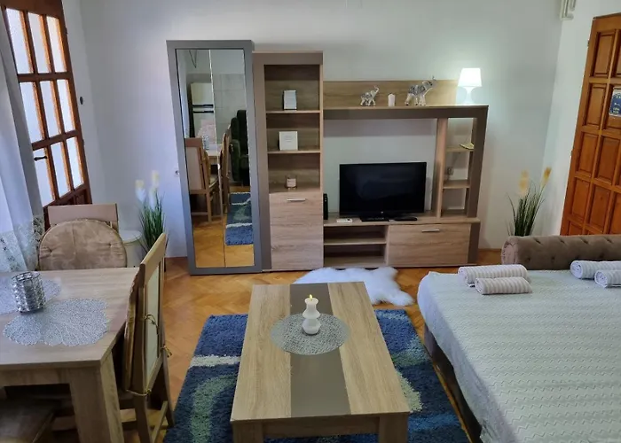 Family Apartmani Le